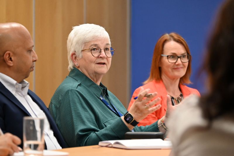 Lynda and Sandra speaking at an ASCEND event