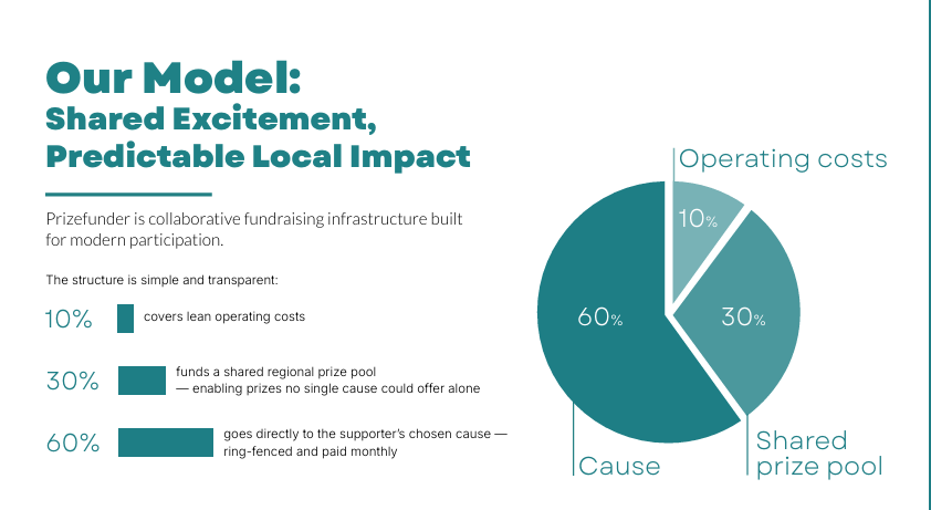 business model for NI