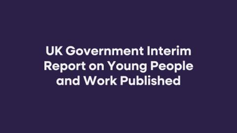 Young People and Work Interim Report