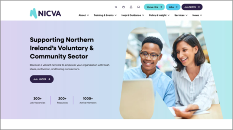 A screenshot from NICVA's new website 
