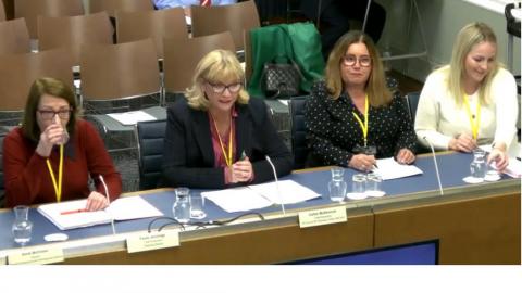 Celine McStravick and sector representatives giving evidence to the Stormont Economy Committee