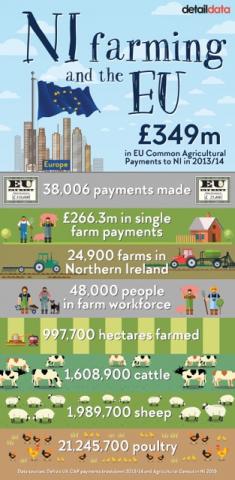CAP Payments Infographic