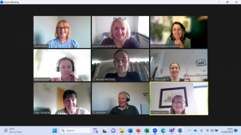 IFI information session screenshot