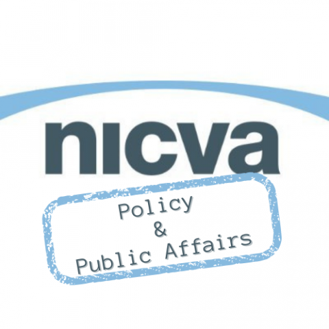 NICVA Policy and Public Affairs team image